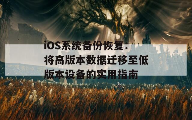 iOS系统备份恢复：将高版本数据迁移至低版本设备的实用指南