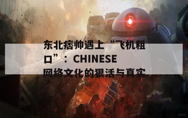 东北痞帅遇上“飞机粗口”：CHINESE网络文化的狠活与真实