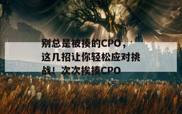 别总是被揍的CPO，这几招让你轻松应对挑战！次次挨揍CPO