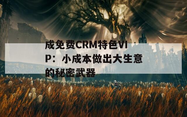 成免费CRM特色VIP：小成本做出大生意的秘密武器