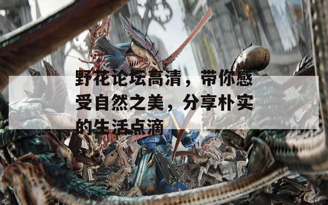 野花论坛高清，带你感受自然之美，分享朴实的生活点滴