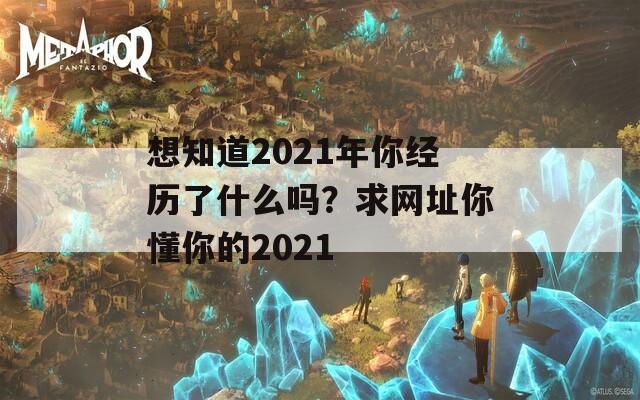 想知道2021年你经历了什么吗？求网址你懂你的2021