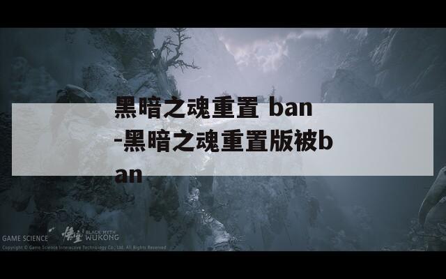 黑暗之魂重置 ban-黑暗之魂重置版被ban