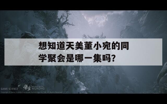 想知道天美董小宛的同学聚会是哪一集吗？