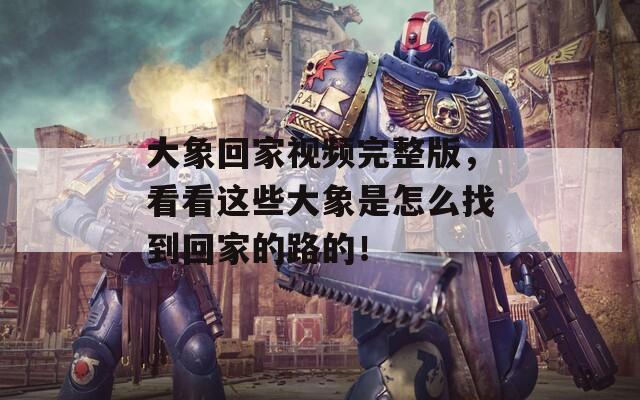 大象回家视频完整版，看看这些大象是怎么找到回家的路的！