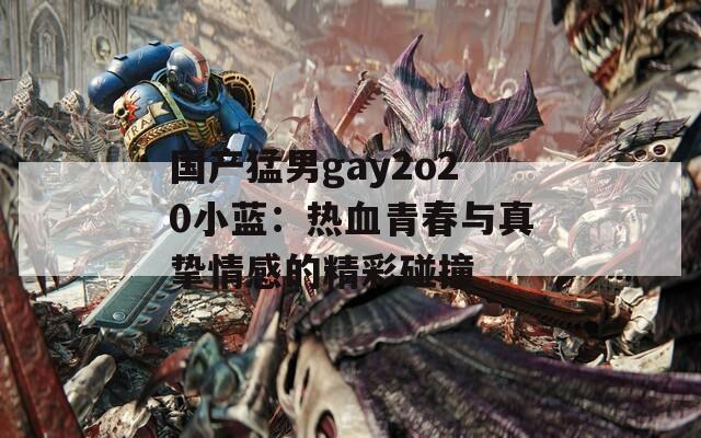 国产猛男gay2o20小蓝：热血青春与真挚情感的精彩碰撞