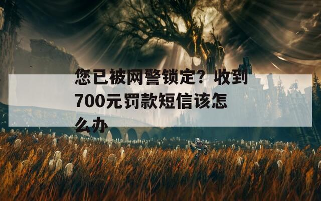 您已被网警锁定？收到700元罚款短信该怎么办