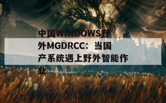 中国WINDOWS野外MGDRCC：当国产系统遇上野外智能作业