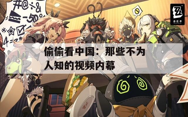 偷偷看中国：那些不为人知的视频内幕