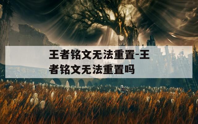 王者铭文无法重置-王者铭文无法重置吗