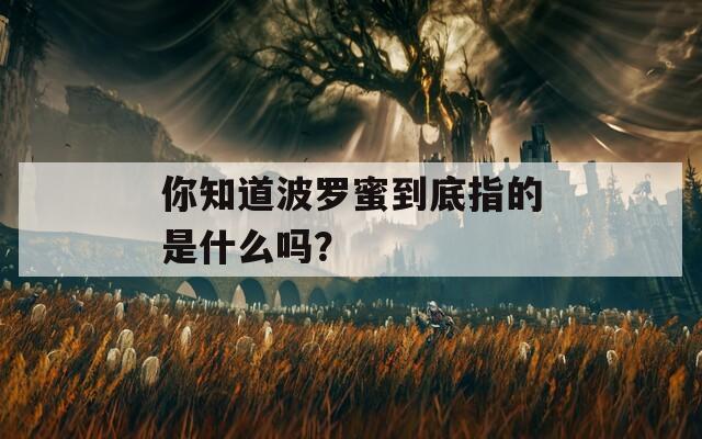 你知道波罗蜜到底指的是什么吗？