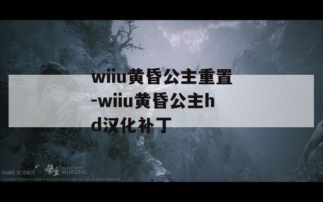 wiiu黄昏公主重置-wiiu黄昏公主hd汉化补丁