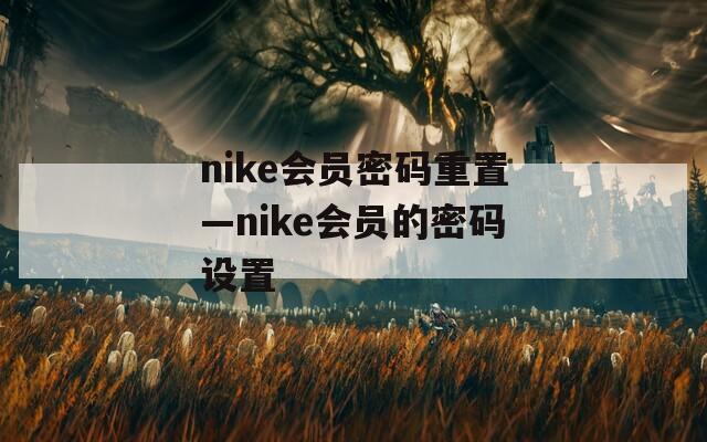 nike会员密码重置—nike会员的密码设置