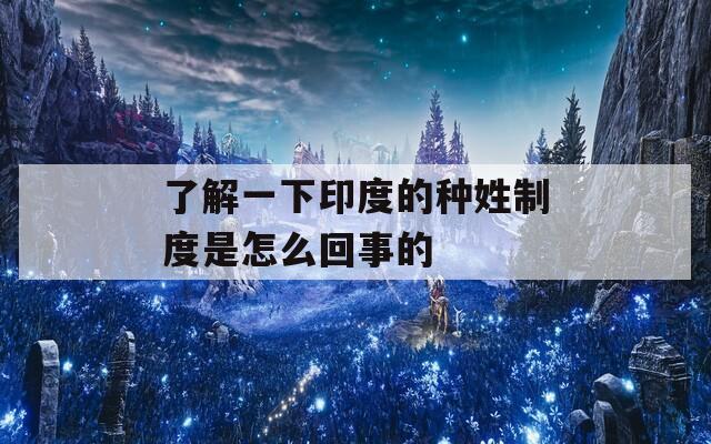 了解一下印度的种姓制度是怎么回事的