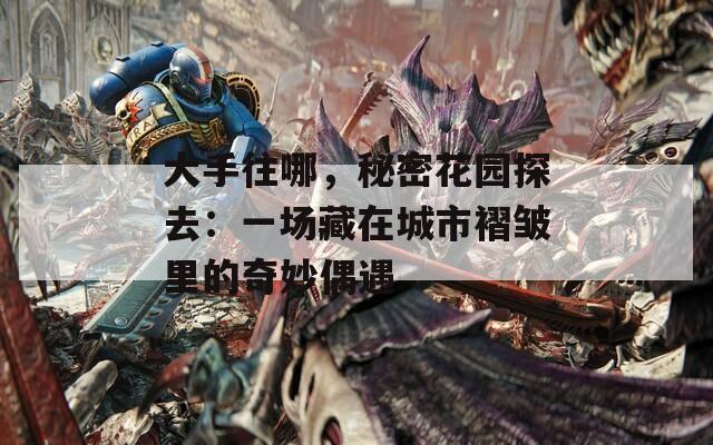 大手往哪，秘密花园探去：一场藏在城市褶皱里的奇妙偶遇