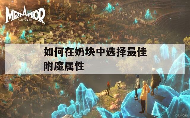 如何在奶块中选择最佳附魔属性
