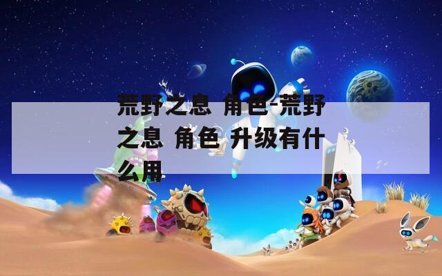 荒野之息 角色-荒野之息 角色 升级有什么用